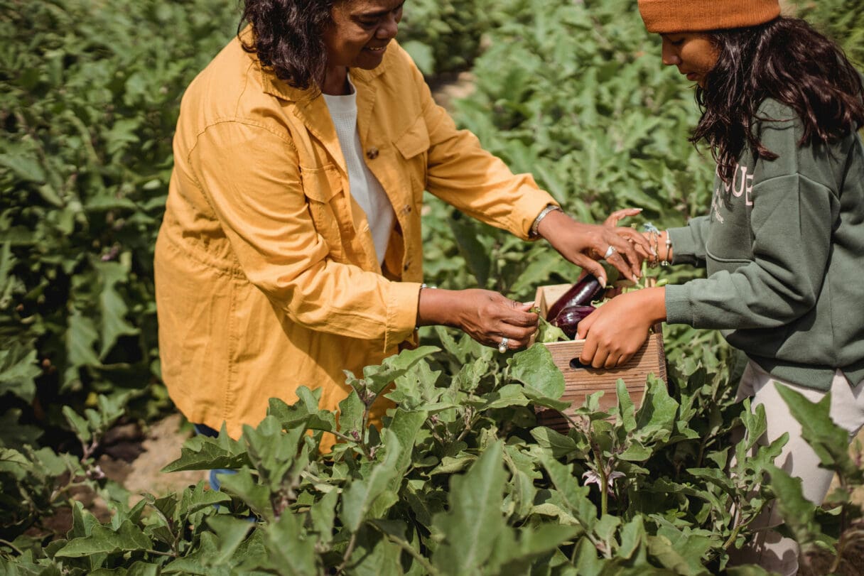 pick your own farms