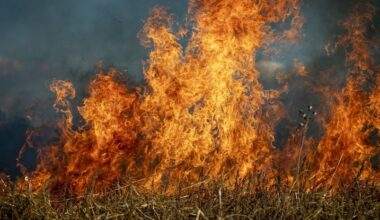 The Jerte Valley, one of Spain's main cherry-producing regions, is suffering from severe fires • EastFruit