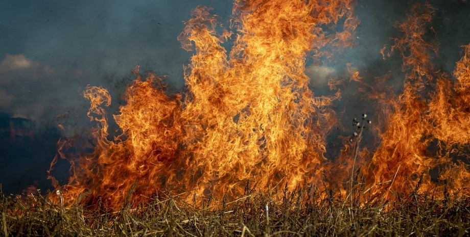 The Jerte Valley, one of Spain's main cherry-producing regions, is suffering from severe fires • EastFruit