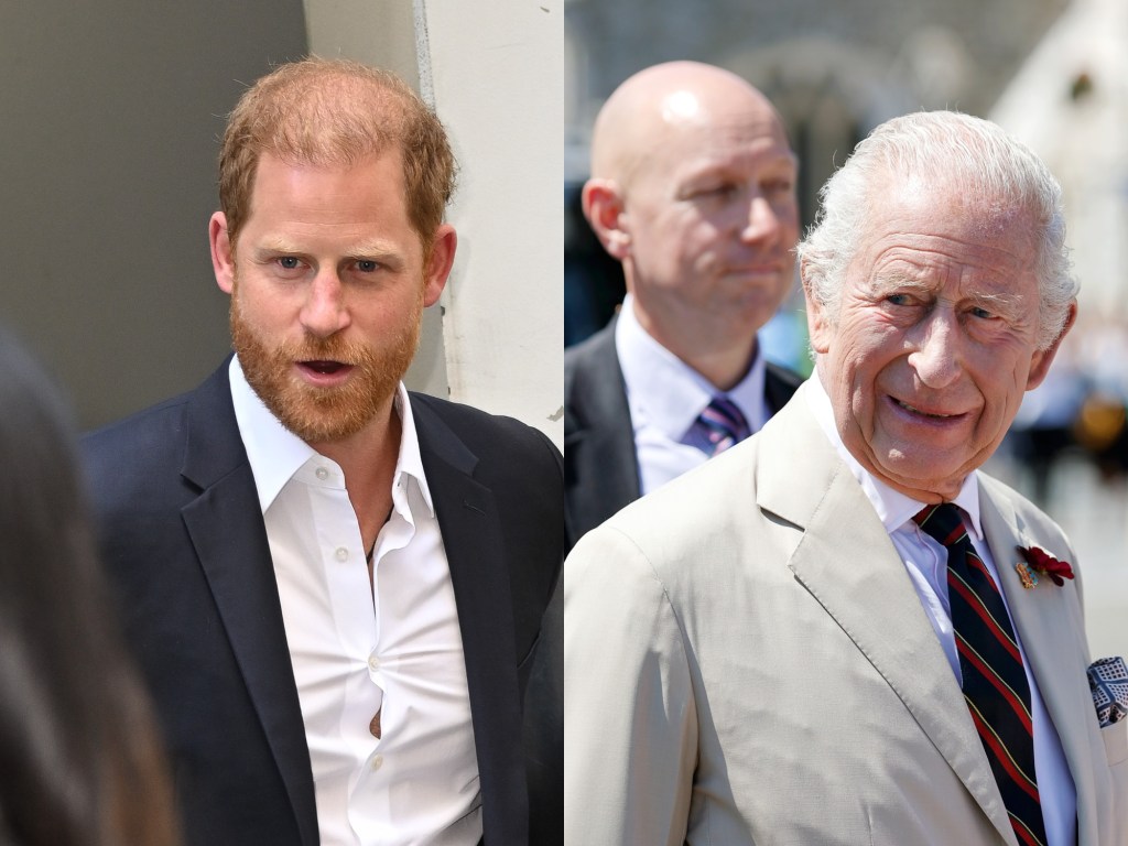 Prince Harry & King Charles Plan Reunion Without Prince William