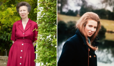 Princess Anne: Unexpected facts about the hardest-working royal