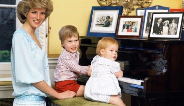 15 Heartwarming Photos of Princess Diana with Young William and Harry