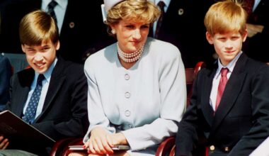 Prince Harry and Prince William's Shared Value That Is 'Pure Diana'