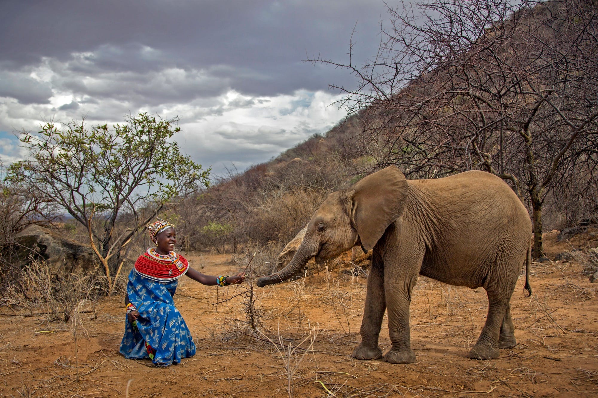 a young woman greets a baby elephant