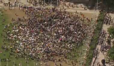 At least 365 anti-Israel protesters arrested in London defying Palestine ban