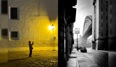 Winning images from the 2025 IPPAwards