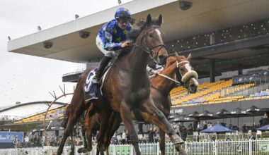 Juja Kibo will be in Race 3, the Gold Coast Turf Club Trophy. Picture by Bradley Photos
