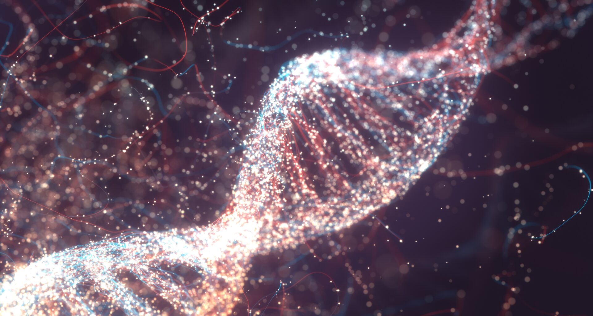 An illustration of a DNA molecule.