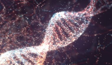 An illustration of a DNA molecule.
