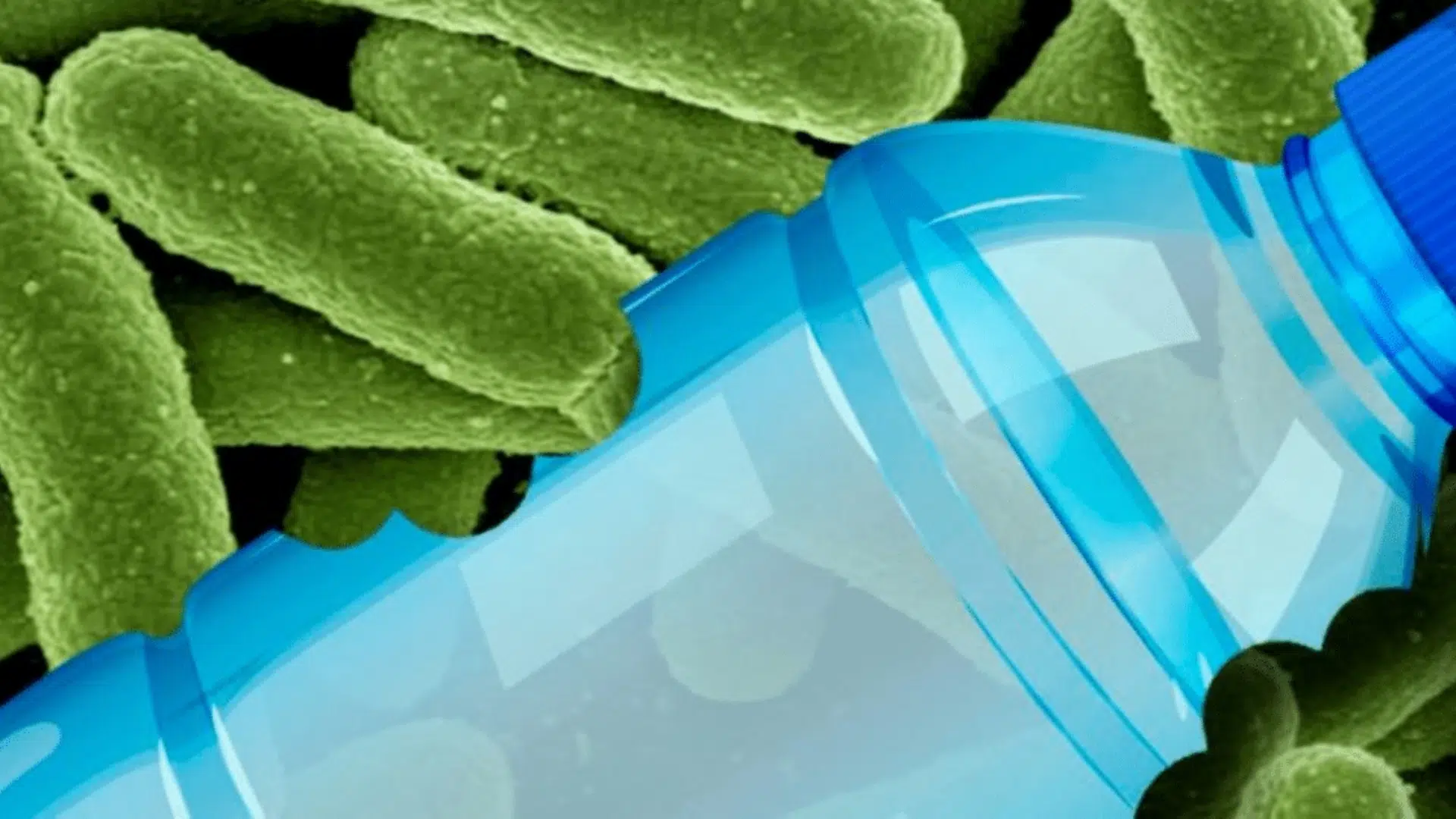 reprogramar bacterias