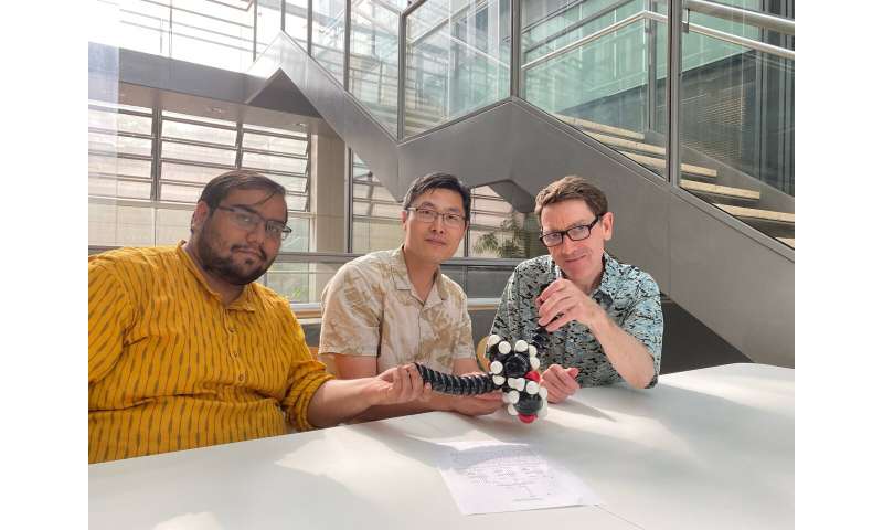 Researchers synthesize a new allotrope of carbon