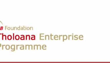 SAB Foundation Tholoana Enterprise Programme 2025/2026 for Young South African Entrepreneurs. – Opportunities For Africans