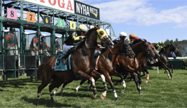 Mi Bago brings speed to Listed $135K Saranac