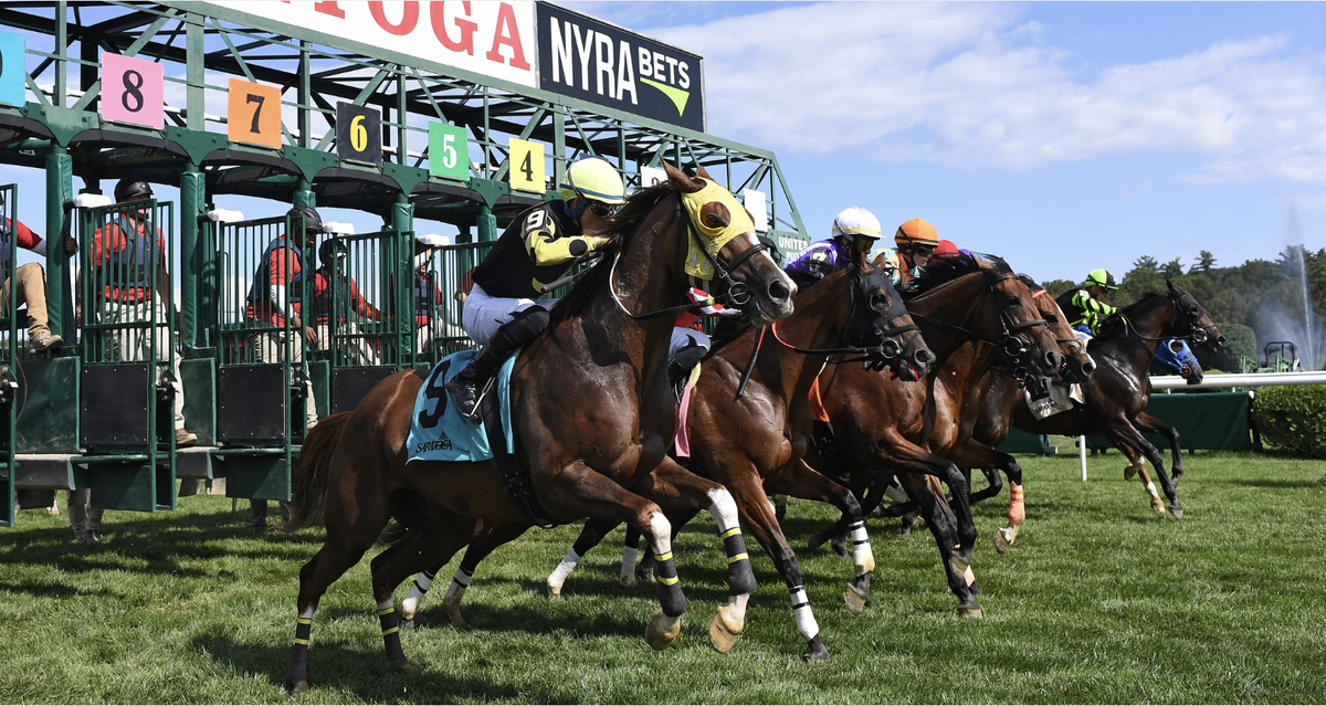 Mi Bago brings speed to Listed $135K Saranac