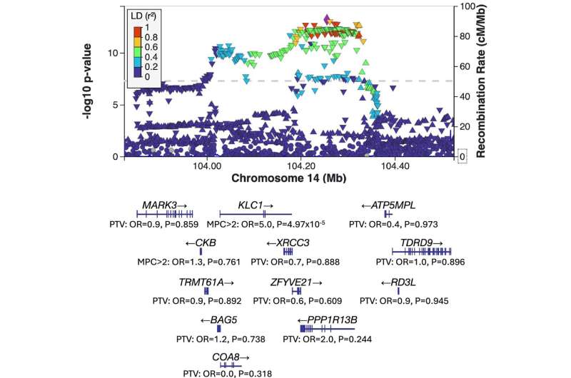 Scientists discover eight new schizophrenia genes