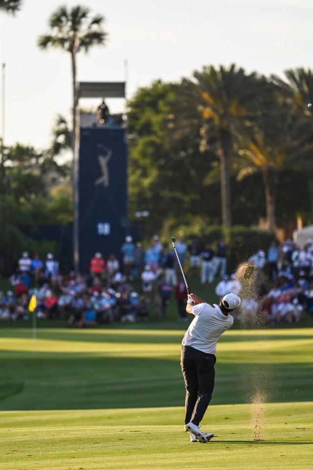 Scheffler knows the small things add up to big wins on the course