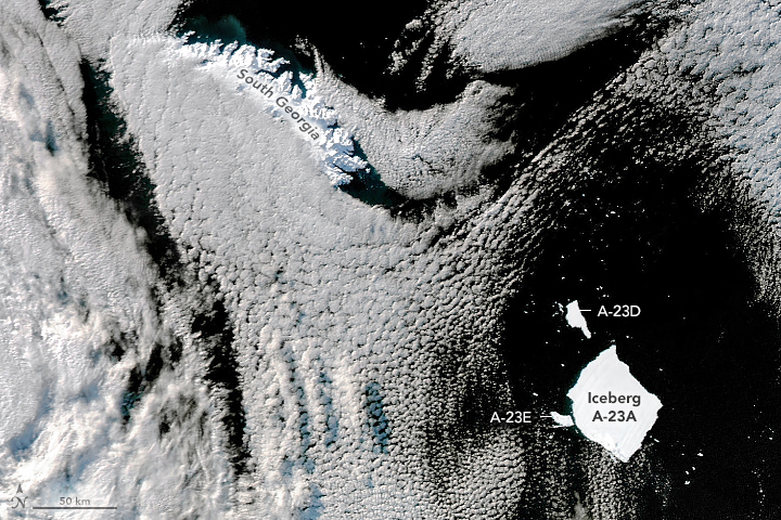 A large, white, square-shaped iceberg floats amid black water in the bottom right of the satellite image. Two smaller icebergs flank the iceberg on its left and top-left sides. Crescent-shaped South Georgia, an island covered in snow and ice, is toward the top-left. White clouds cover a sizable part of the ocean.