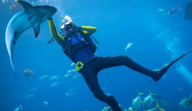 shark-trance-immobility-tonic-
