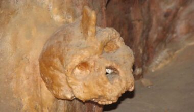 Mysterious Skull Fused to Cave Wall Could Belong to a Rare Human Species : ScienceAlert
