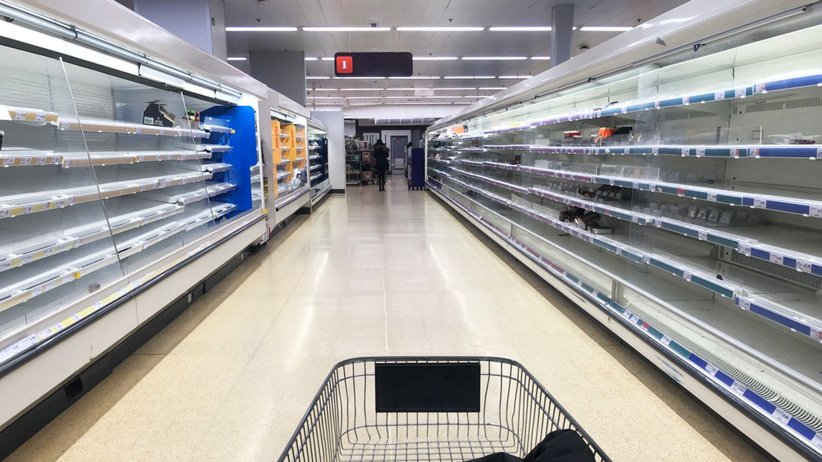 Money latest: Britons told diets need to change as UK 'criminally' unprepared to feed itself in crisis | Money News