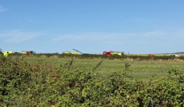 Fire and rescue vehicles at the scene near Ventnor. Pic: Stu Southwell