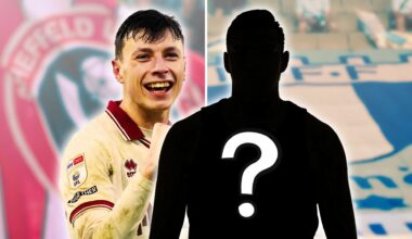 Sheffield United eyeing up top-flight defender as Anel Ahmedhodzic replacement