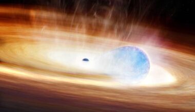 Two of Nature's most fascinating objects combined to form a unique display when an exploding supernovae tried to swallow its companion black hole. Before it could, gravitational stress from the black hole triggered the star's explosion. Image Credit: Melissa Weiss/CfA