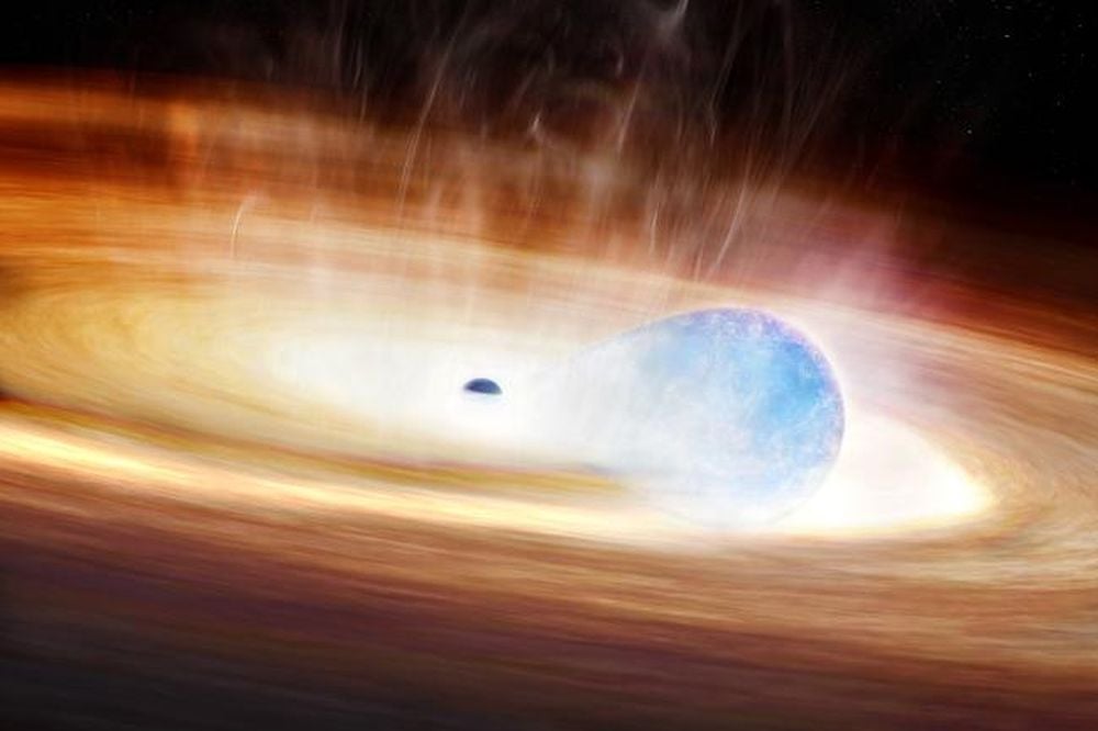 Two of Nature's most fascinating objects combined to form a unique display when an exploding supernovae tried to swallow its companion black hole. Before it could, gravitational stress from the black hole triggered the star's explosion. Image Credit: Melissa Weiss/CfA