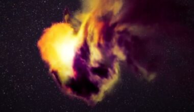 Supernova Reveals What The Inside of a Star Really Looks Like : ScienceAlert