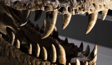 Prehistoric Air Has Been Reconstructed From Dinosaur Teeth in an Amazing First : ScienceAlert