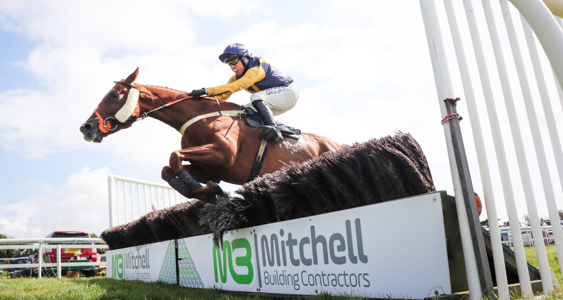 Champion's Day to conclude the domestic racing calendar