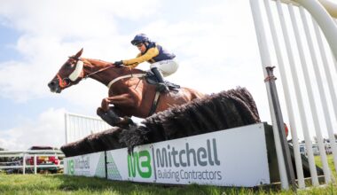 Champion's Day to conclude the domestic racing calendar
