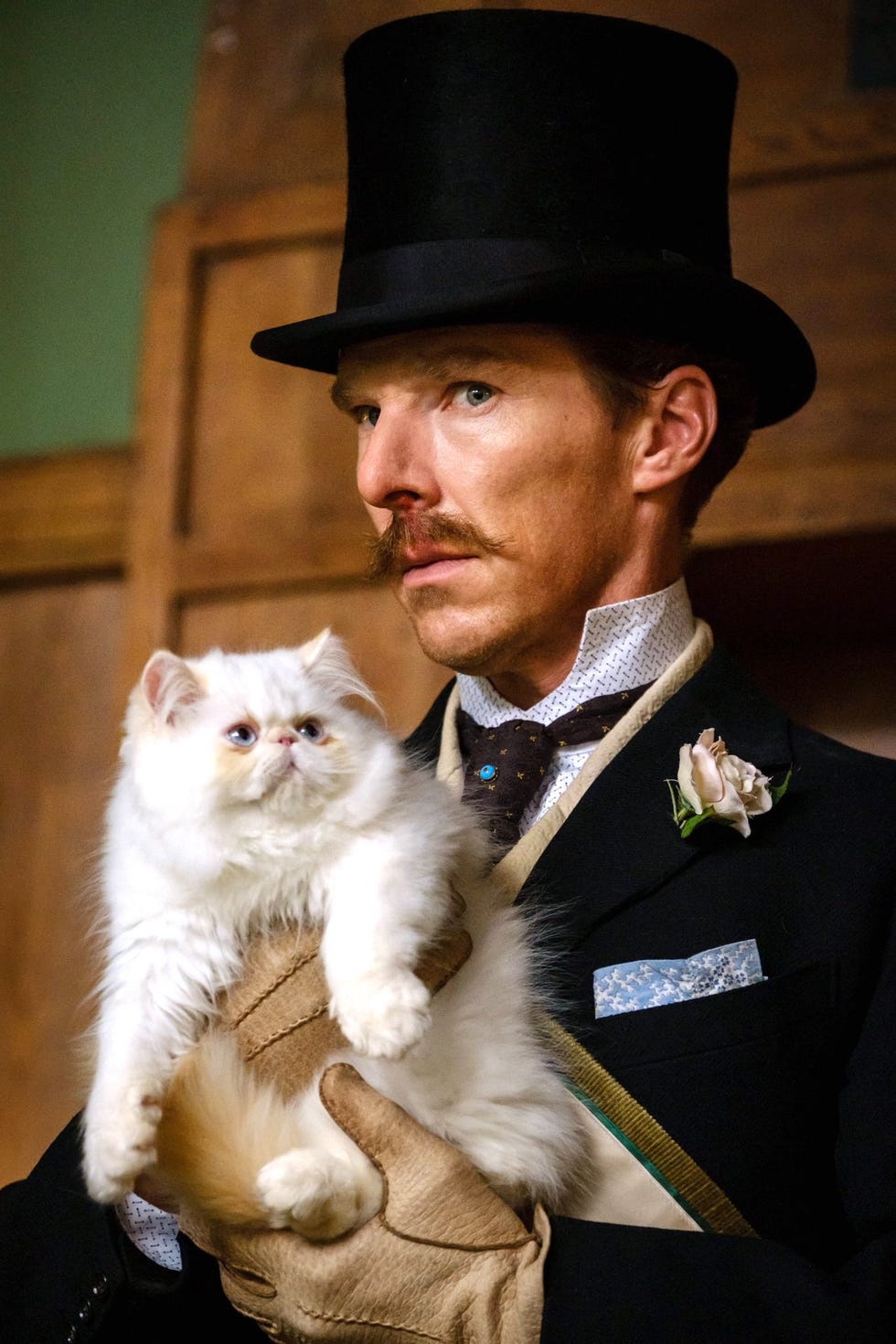 the electrical life of louis wain doctor strange benedict cumberbatch