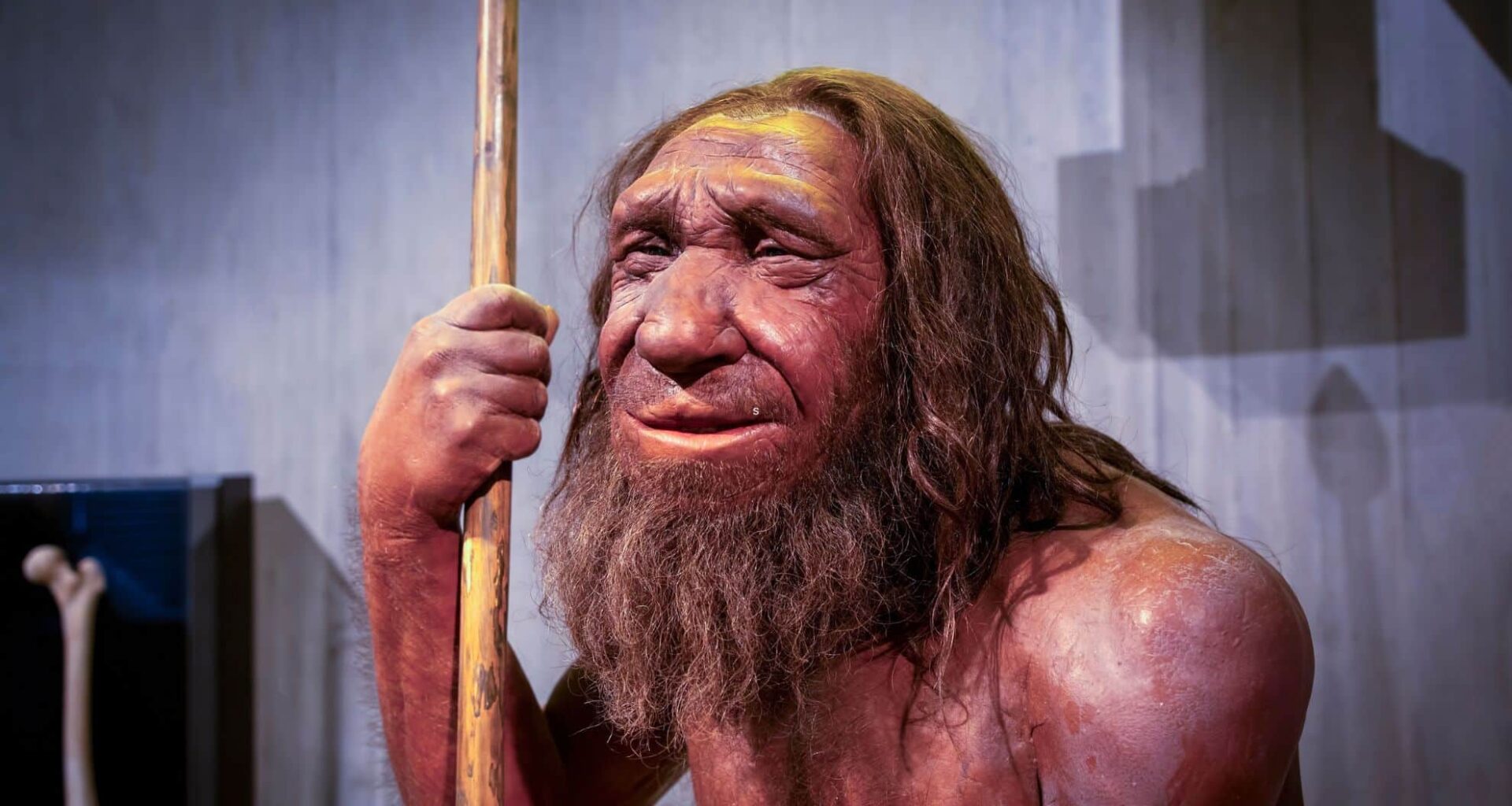 The Mysterious Gene That Could Explain Why Humans Beat Neanderthals To Survival