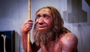 The Mysterious Gene That Could Explain Why Humans Beat Neanderthals To Survival