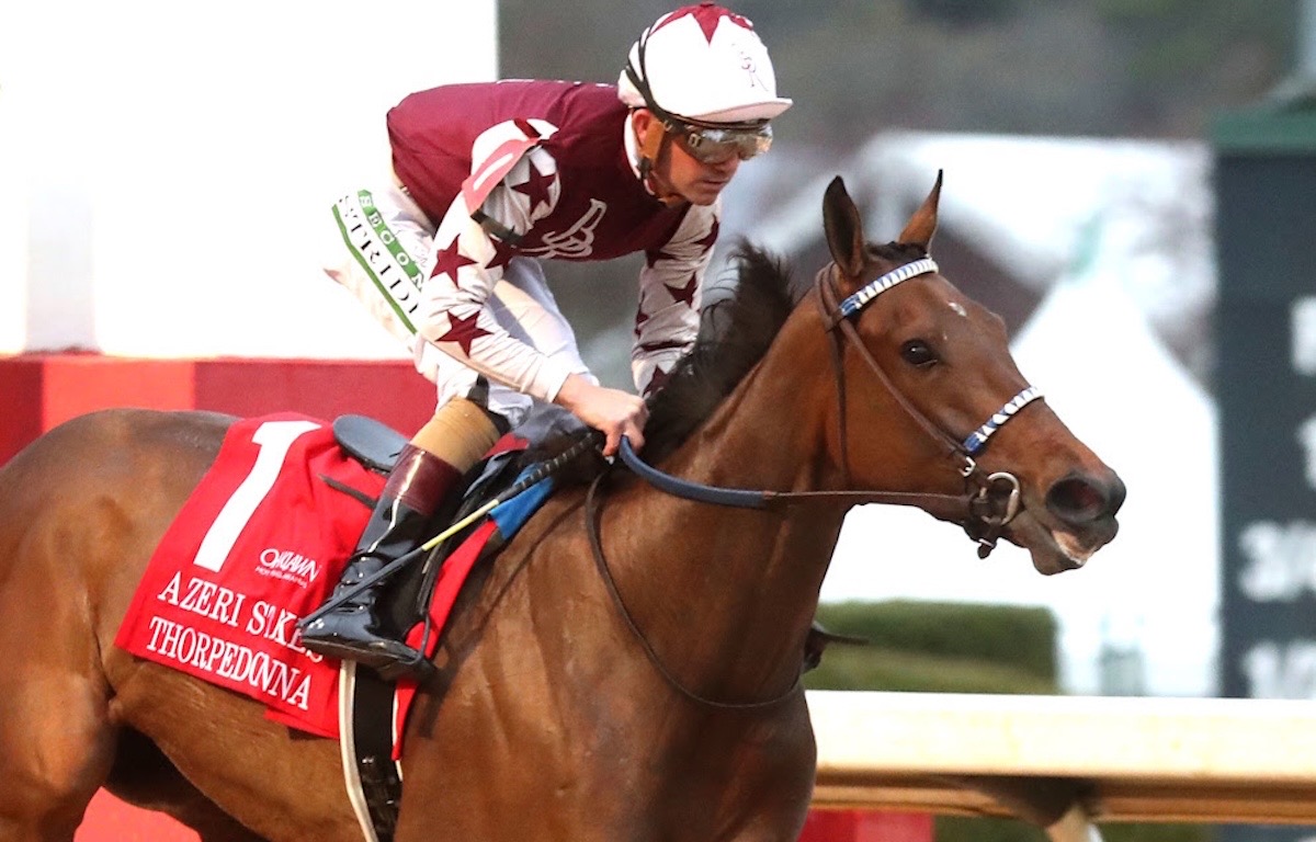 Thorpedo Anna: half-share sold. Photo: Coady Media