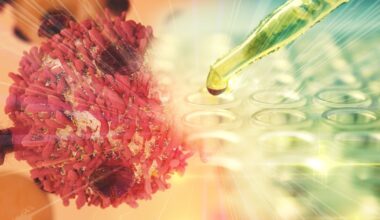 Ancient 'junk' DNA revealed as key players in human genome regulation