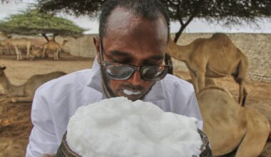 Somalia's camel milk revolution is improving nutrition