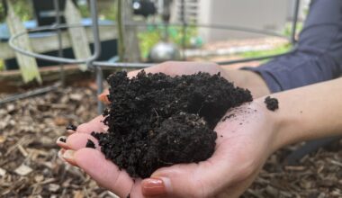 How gardening could contribute to improved mental health