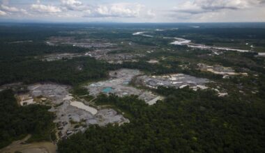Amazon deforestation surges in Colombia, reversing historic gains