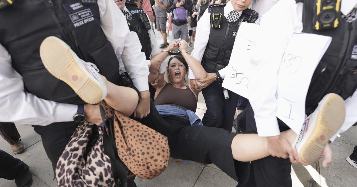 London police arrest 365 people as pro-Palestinian protesters defy new law
