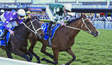 She’s back – Via Sistina lands thrilling Winx Stakes repeat