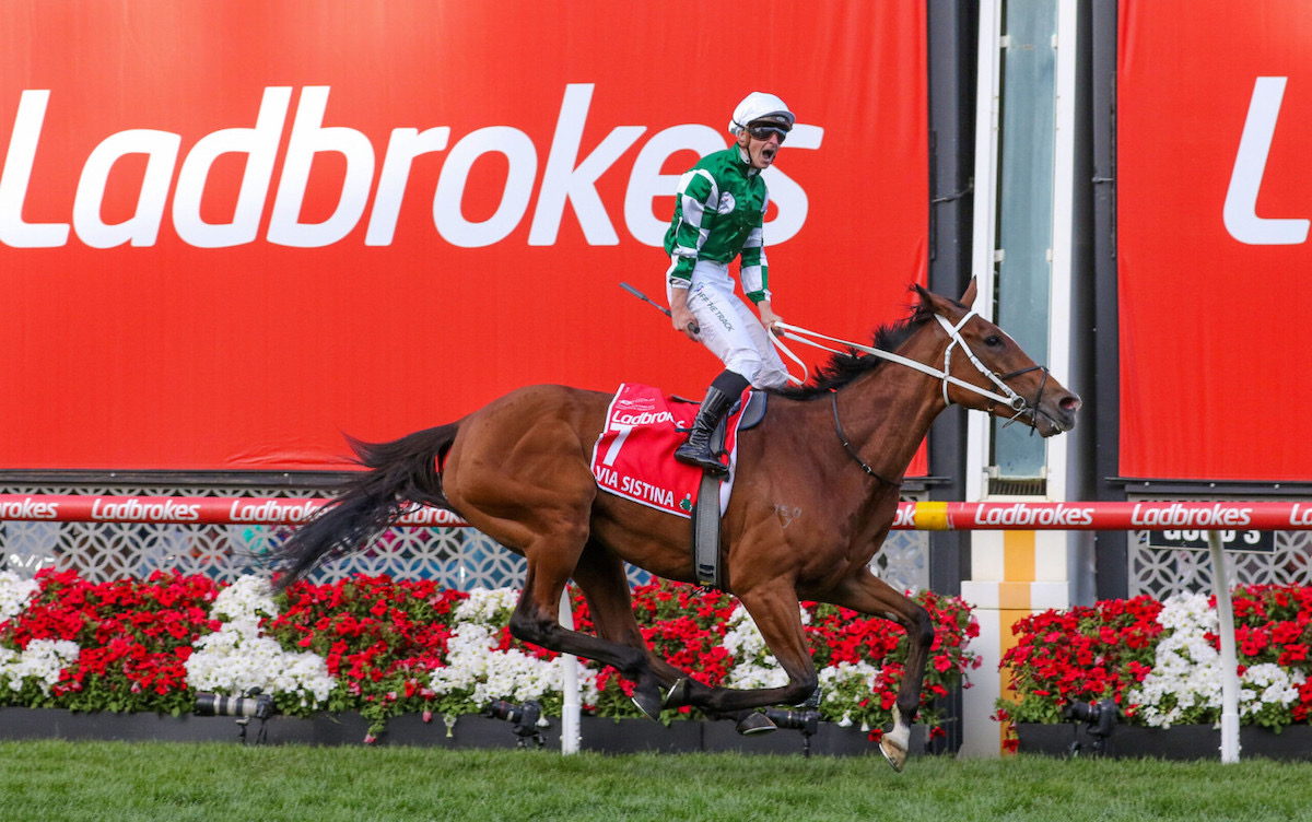 Via Sistina wins 2024 Cox Plate at Moonee Valley. Photo: Via Sistina (James McDonald) wins Cox Plate. Photo: Bruno Cannatelli / NZ Racing Desk