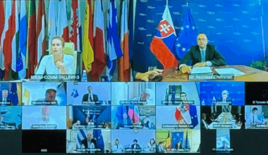 La videoconferenza dei ministri degli Esteri [11 agosto 2025, foto: Servizio per l'azione esterna]