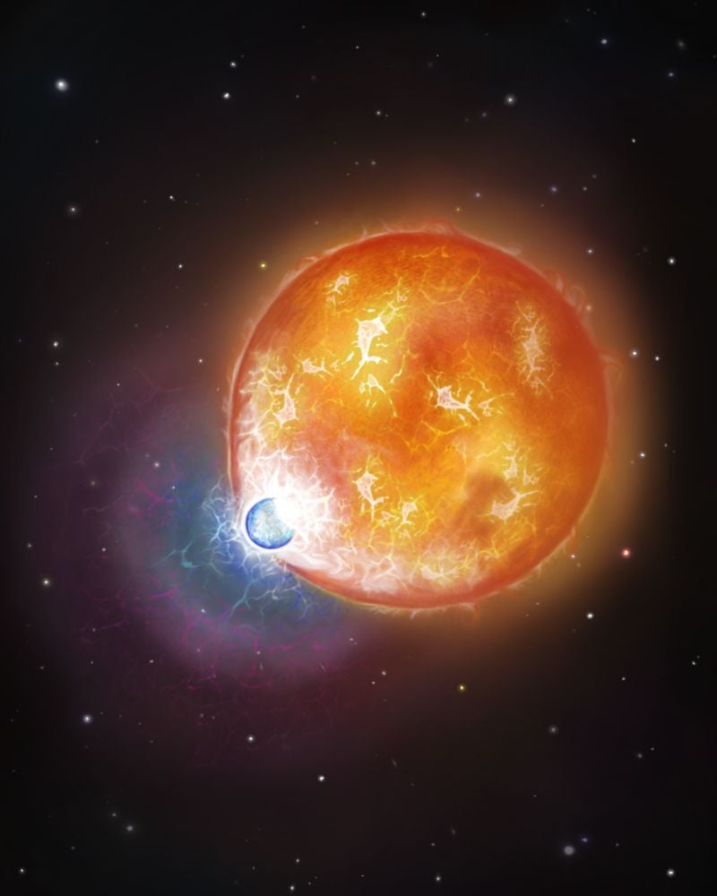 An artist's illustration (not to scale) of a white dwarf merging with a much larger star. These mergers could be what produces ultra-massive white dwarfs. Image Credit: Snehalata Sahu/University of Warwick