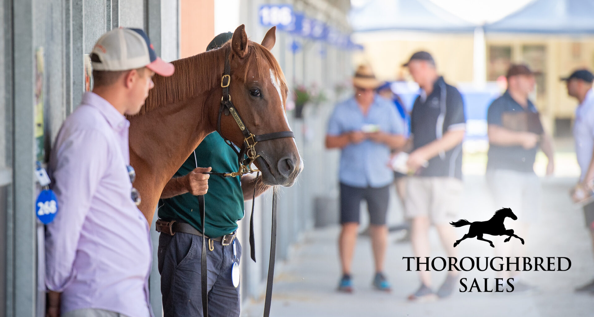 WA to Host Bonus Races as Part of $4 Million Thoroughbred Sales Series