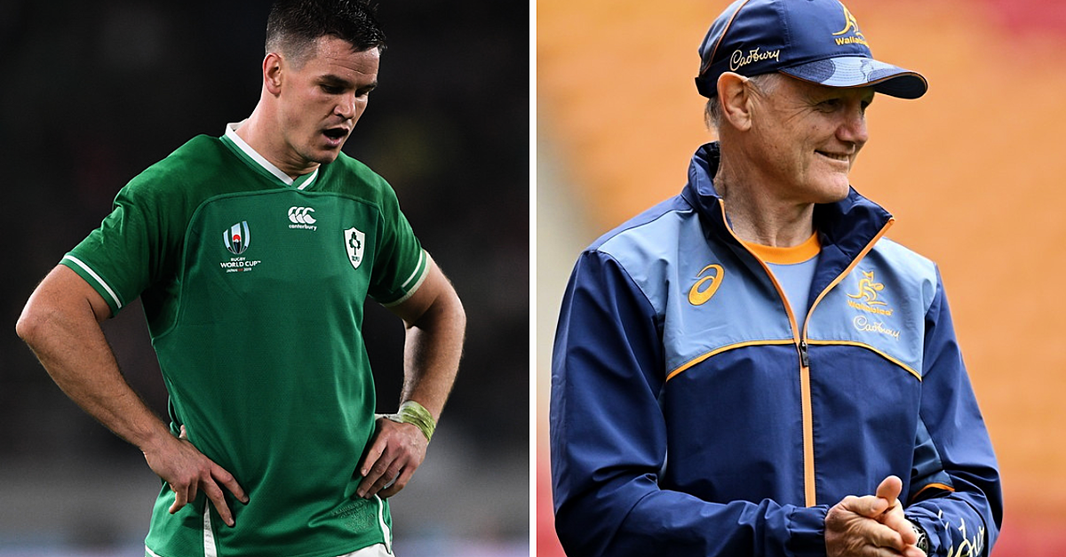 Williams Thinks New Schmidt Trait Would Have Gotten Ireland To World Cup Final