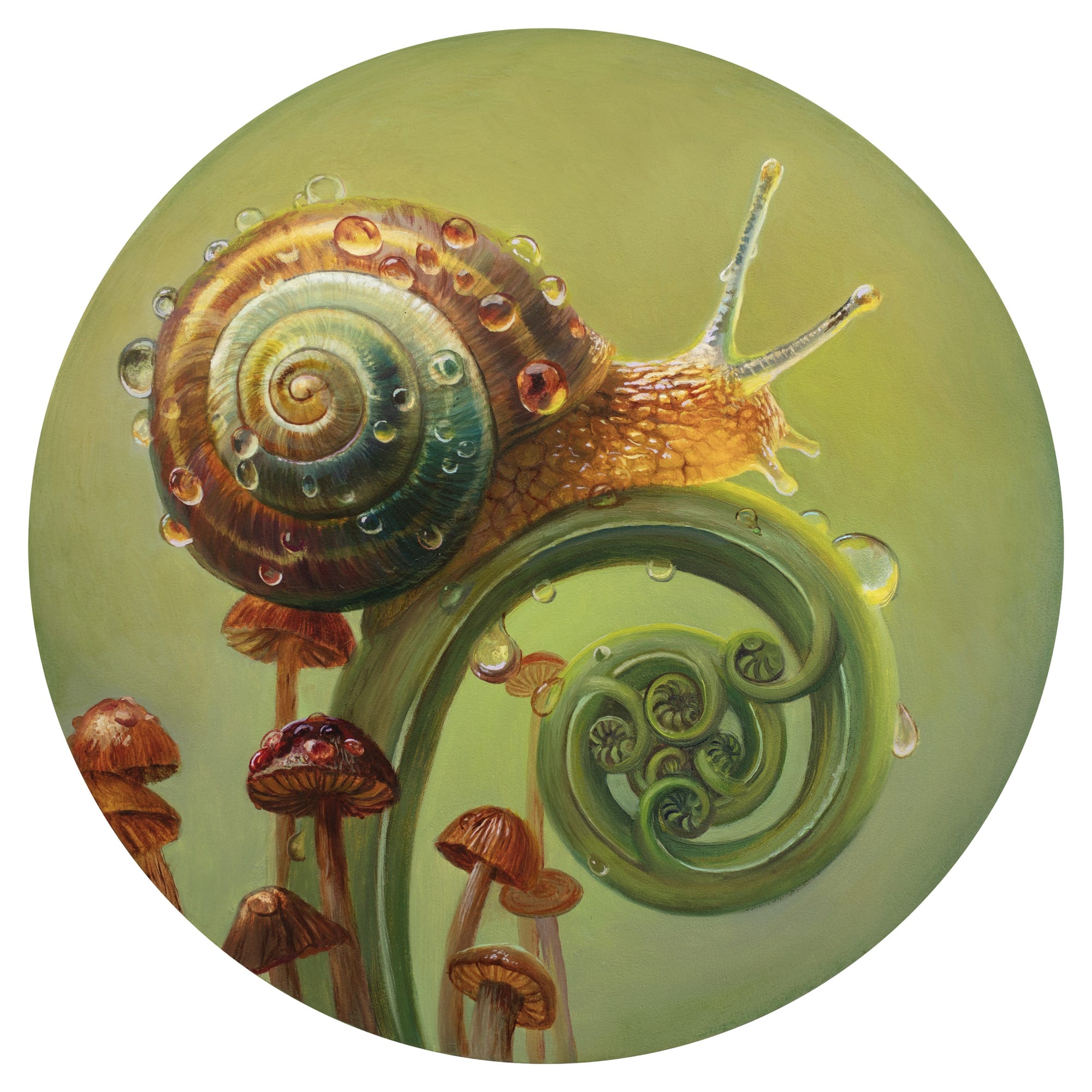 a round oil painting by Martin Wittfooth of a snail on a fern