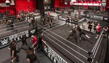 Professional Boxer Offered WWE Tryout