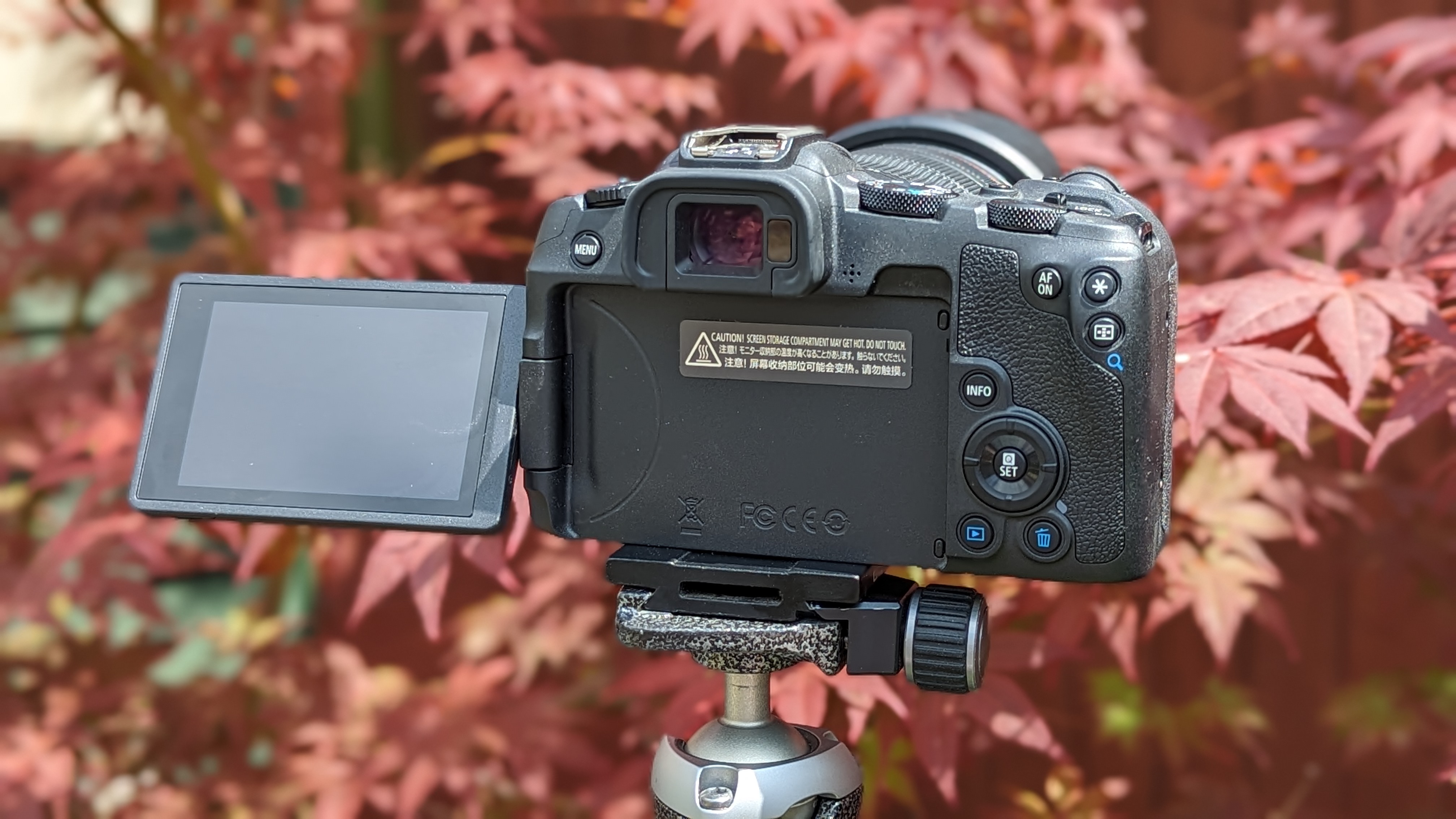 The Canon EOS R8